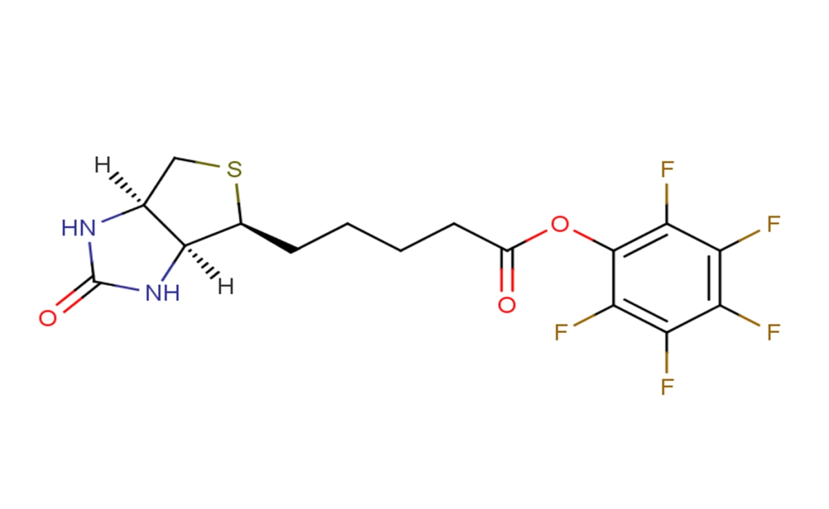 Biotin-PFP esterͼƬ