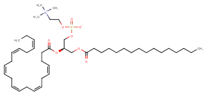 Palmitoyldocosahexaenoyl phosphatidylcholine图片