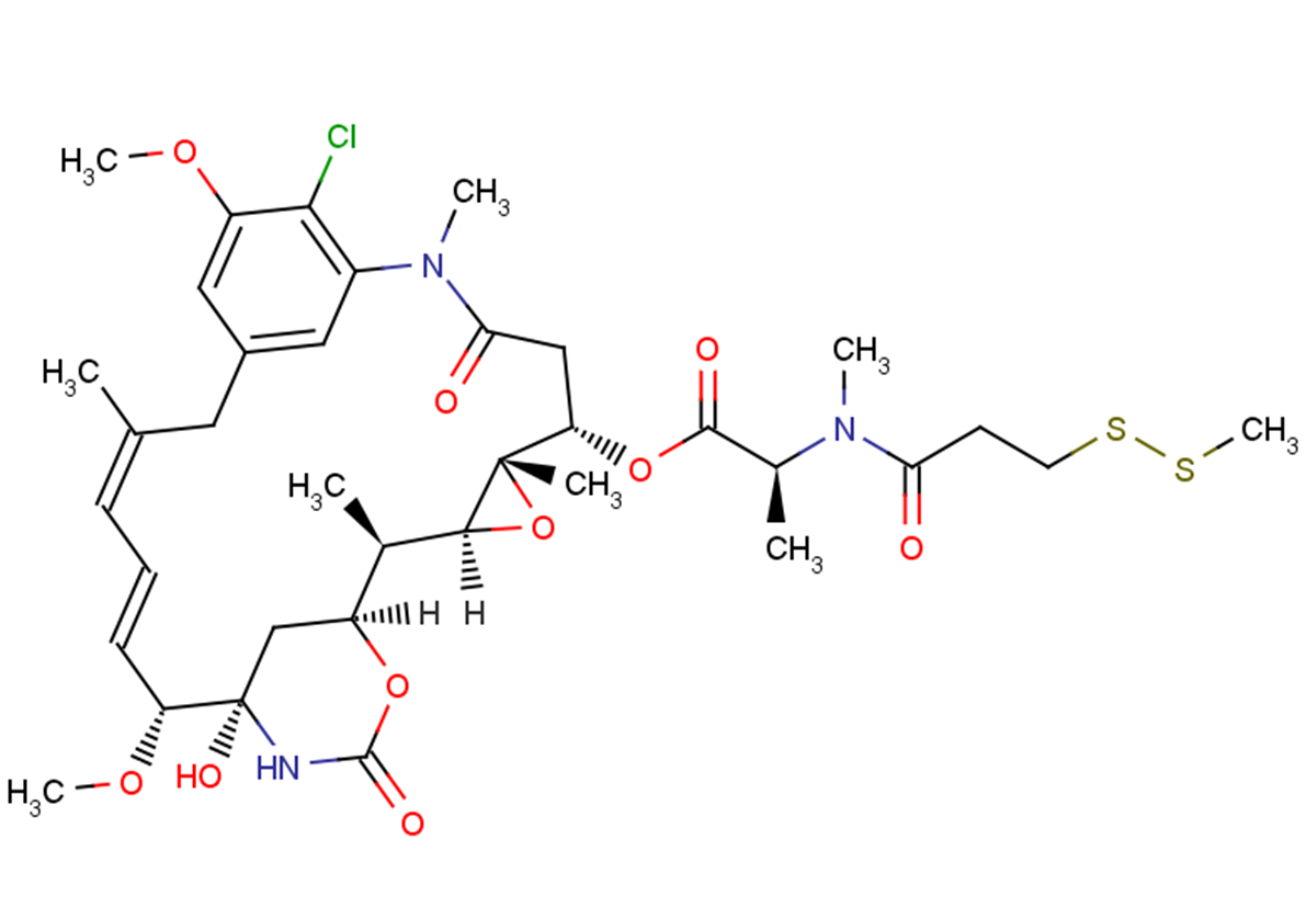 DM1-SMeͼƬ