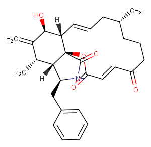 Cytochalasin AͼƬ