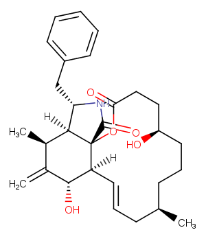 Dihydrocytochalasin BͼƬ