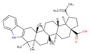 2,3-Indolobetulonic Acid图片