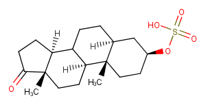 Epiandrosterone SulfateͼƬ