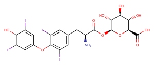 Levothyroxine acyl glucuronideͼƬ