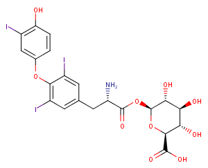 T3 Acyl glucuronideͼƬ