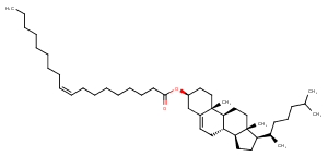 Cholesteryl oleate图片