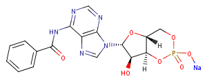 6-Bnz-cAMP sodium saltͼƬ