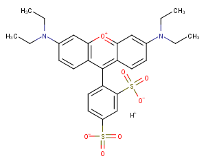 Lissamine rhodamine BͼƬ