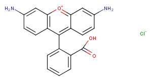 Rhodamine 110ͼƬ