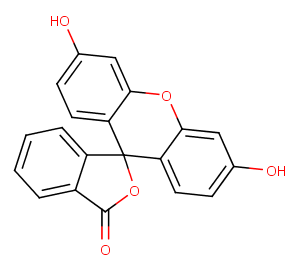 Fluorescein图片