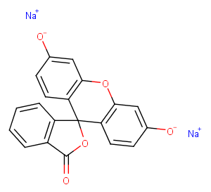 Fluorescein SodiumͼƬ