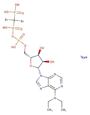 ARL67156 trisodium saltͼƬ