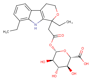 Etodolac Acyl GlucuronideͼƬ