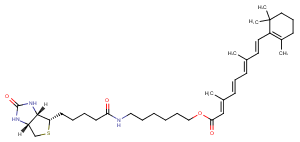 ATRA-biotinͼƬ