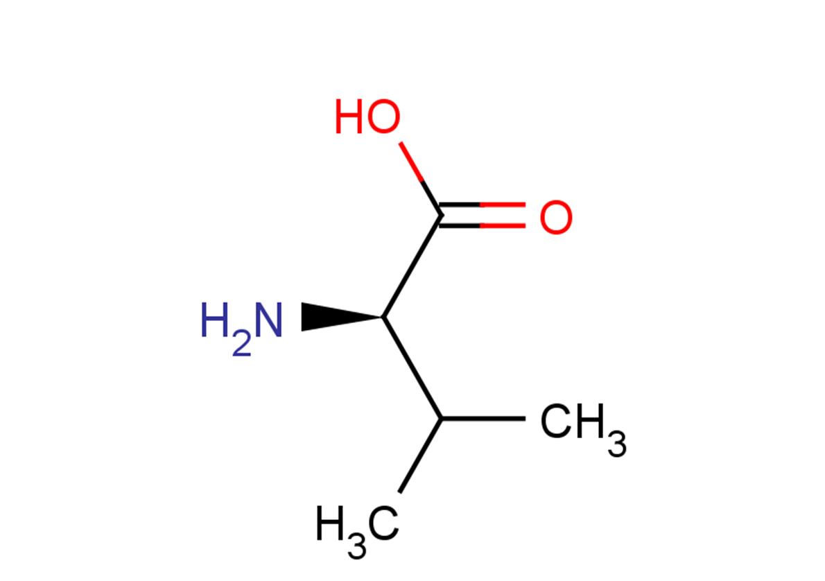 D-ValineͼƬ