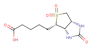 Biotin sulfoneͼƬ