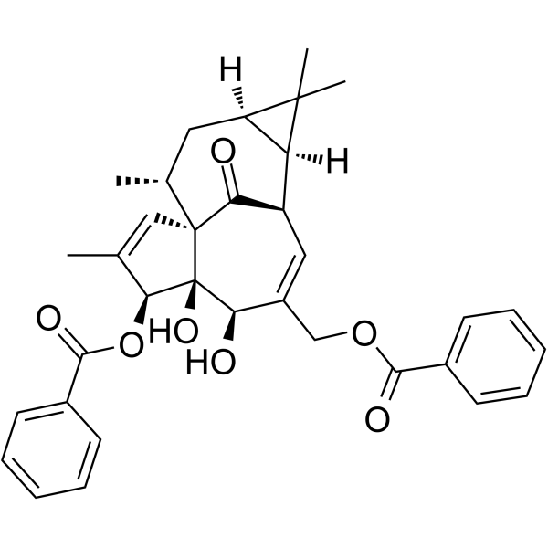 Ingenol 3,20-dibenzoateͼƬ