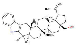 2,3-Indolobetulin图片