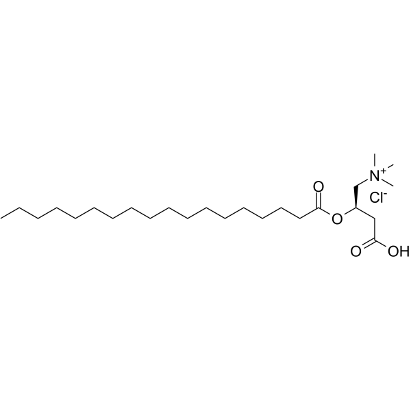 Stearoyl-L-carnitine chlorideͼƬ