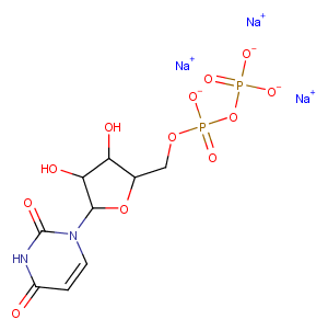 Uridine 5'-diphosphate sodium saltͼƬ