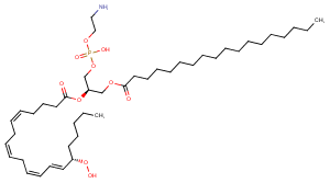 1-Stearoyl-2-15(S)-HpETE-sn-glycero-3-PEͼƬ