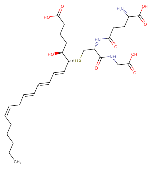 11-trans Leukotriene C4ͼƬ