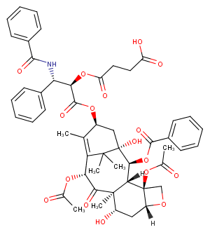 Paclitaxel-Succinic acidͼƬ