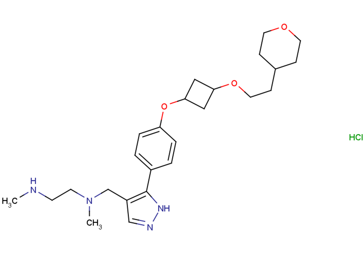 EPZ020411 hydrochlorideͼƬ