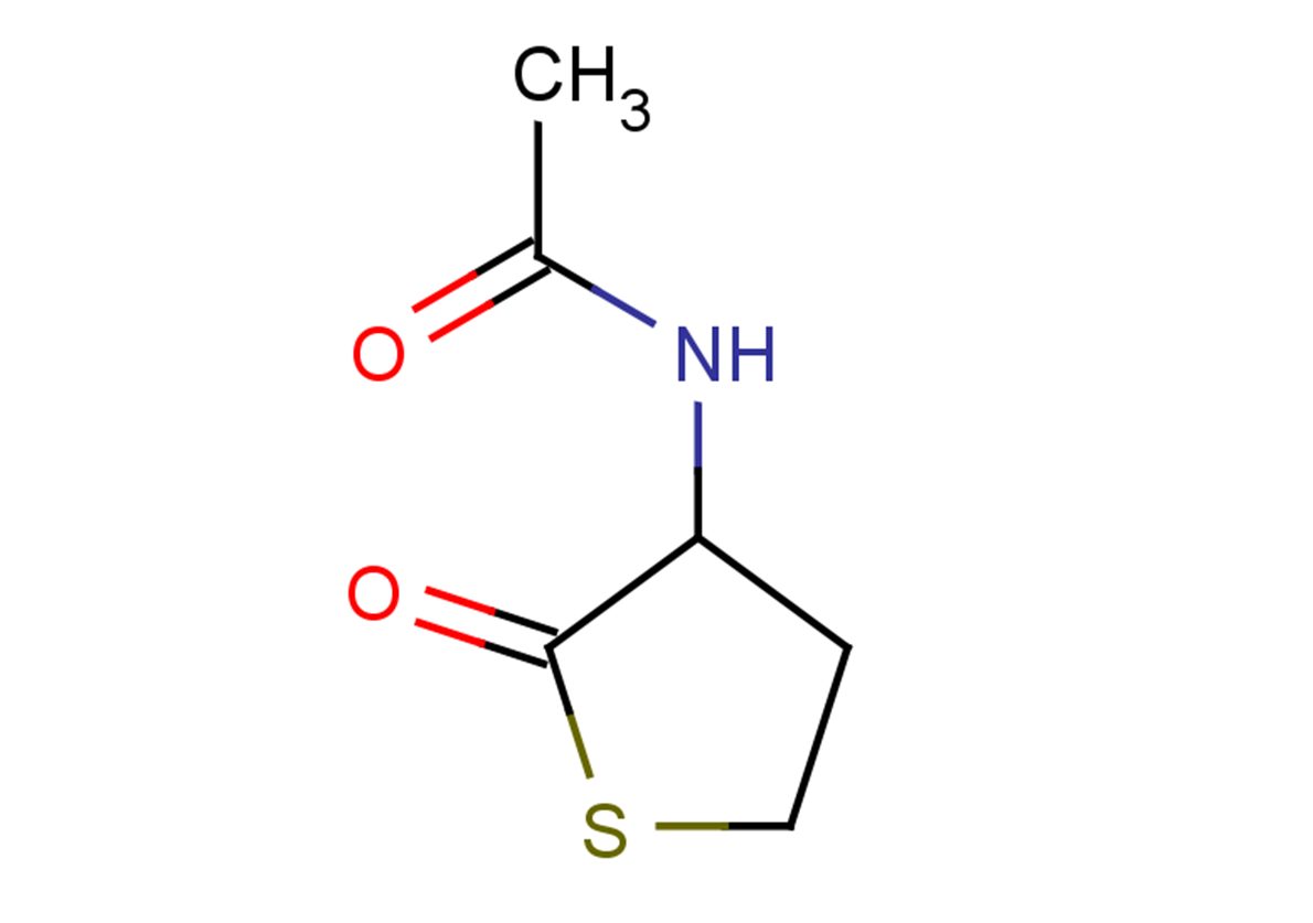 CitioloneͼƬ