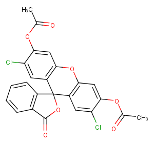 2',7'-Dichlorofluorescein diacetate图片