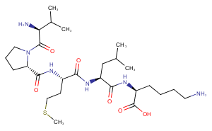 Bax inhibitor peptide V5ͼƬ