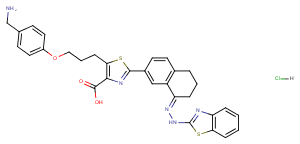 WEHI-539 hydrochlorideͼƬ