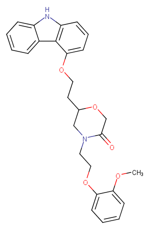 Homo-VK-II-36ͼƬ