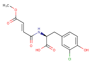 (+)-Xylariamide AͼƬ