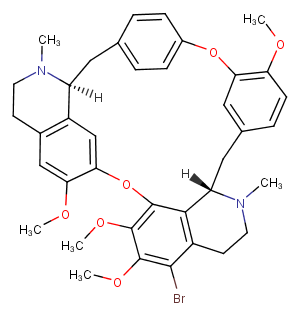 BromotetrandrineͼƬ