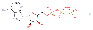 ATP dipotassium图片