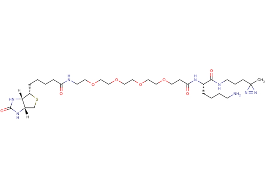 Biotin-probe 1ͼƬ