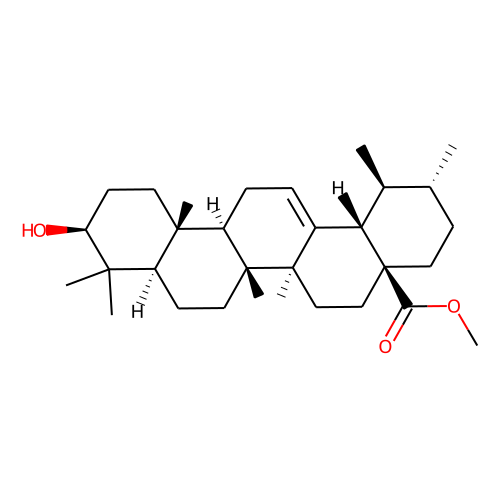 URSOLIC ACID METHYL ESTERͼƬ