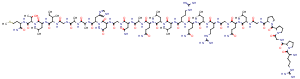 Orexin B,rat,mouse图片