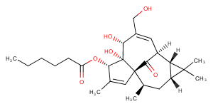 Ingenol 3-HexanoateͼƬ