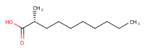 Decanoic acid,2-methyl-ͼƬ