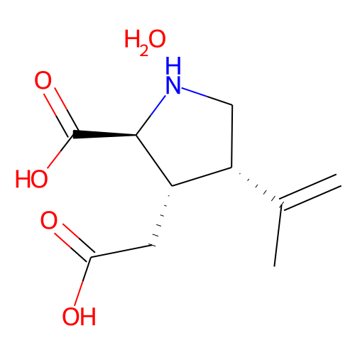 (-)-()-Kainic Acid(hydrate)ͼƬ