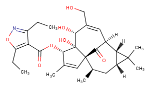 Ingenol disoxateͼƬ