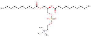 1,2-Didecanoyl-sn-glycero-3-phosphocholiͼƬ