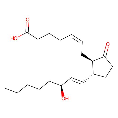 11-deoxy Prostaglandin E2ͼƬ