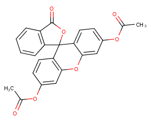 Fluorescein diacetateͼƬ