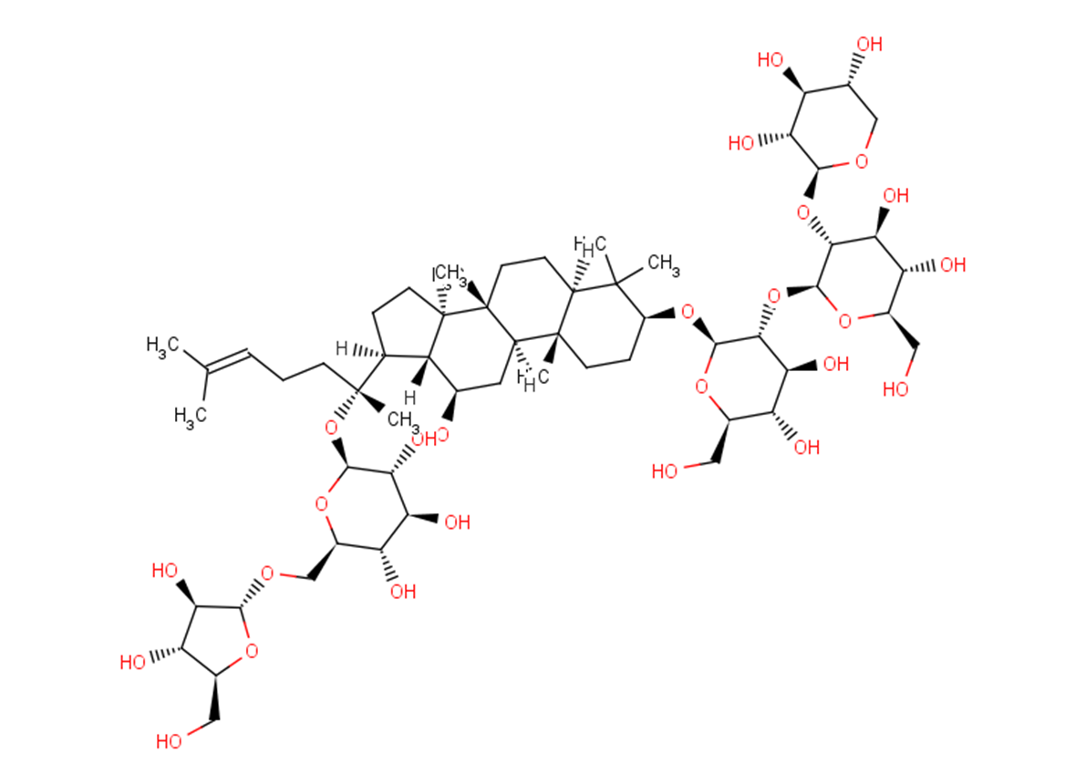 Notoginsenoside FP2图片