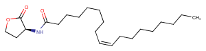 N-cis-octadec-9Z-enoyl-L-Homoserine lactoneͼƬ