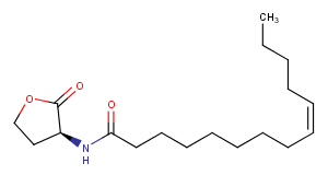 N-cis-tetradec-9Z-enoyl-L-Homoserine lactoneͼƬ