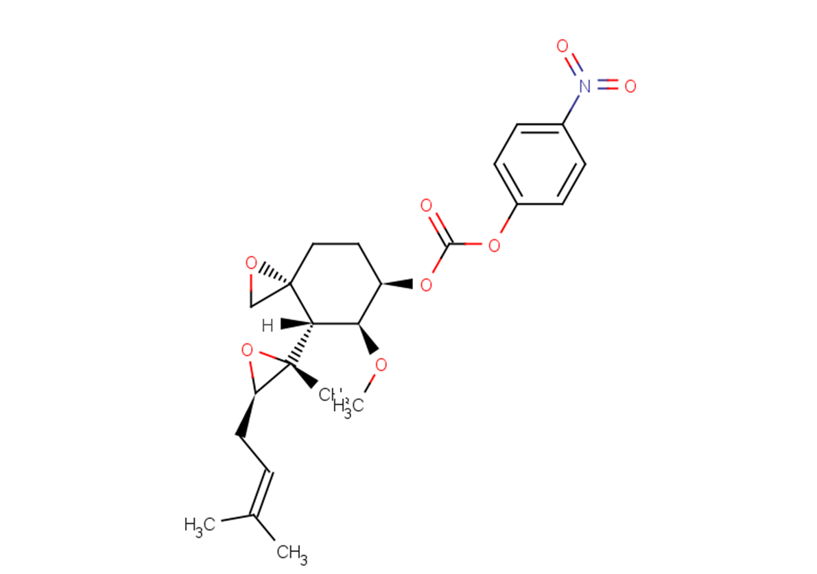 TSPO ligand-2ͼƬ